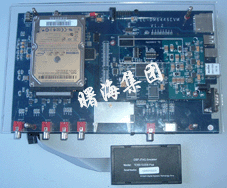 �_������̖6446�_�l��